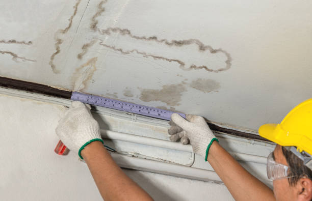 Reliable Mold Remediation contractor in Shelbyville, MI by Water Damage Irwin
